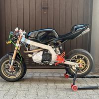 Minigp kayo 12 pollici