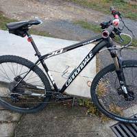 MTB cannondale