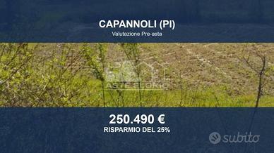 Immobile in asta di 101390 m² a Capannoli
