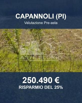 Immobile in asta di 101390 m² a Capannoli