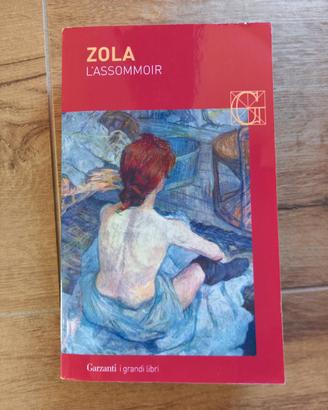 libro L'assomoir - Zola