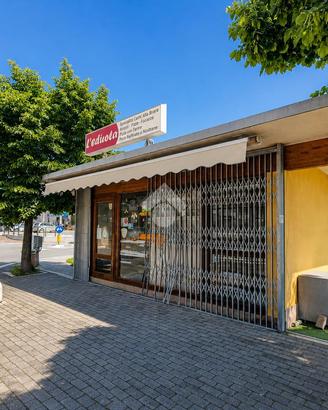 NEGOZIO A ALBA ADRIATICA