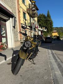 Suziky bandit 650 2005