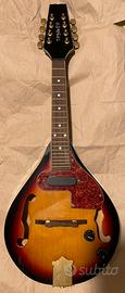 Mandolino elettroacustico