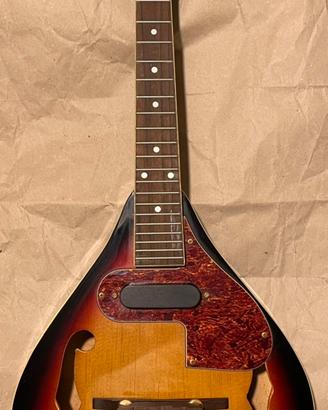 Mandolino elettroacustico