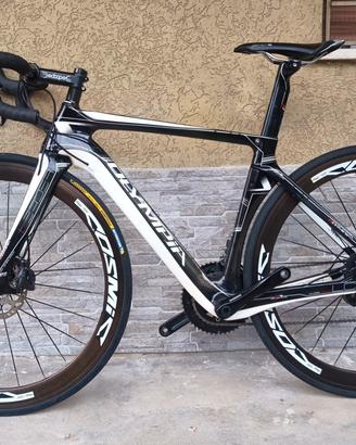 Olympia Leader Carbon Disk