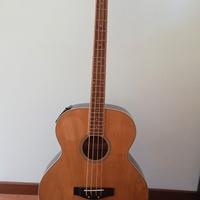 Basso acustico Richwood