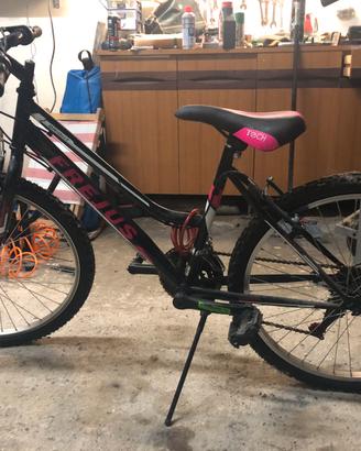 Bicicletta