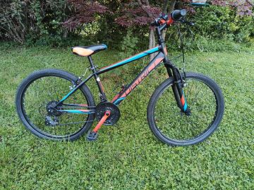 bicicletta 24 pollici