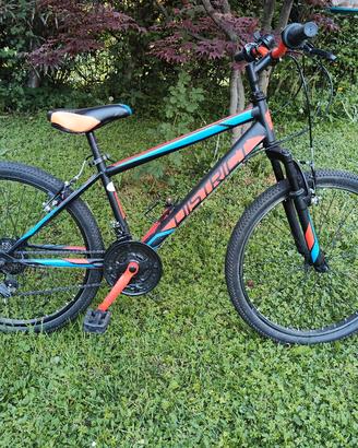 bicicletta 24 pollici