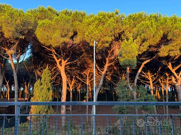 Trilocale Mazzanta davanti al mare