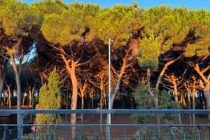 Trilocale Mazzanta davanti al mare