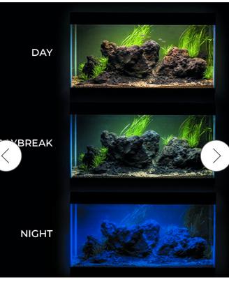 tubo led acquario 