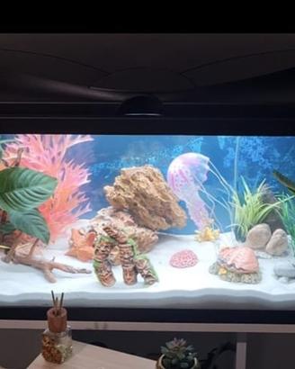 Acquario 90 litri + mobile bianco + accessori