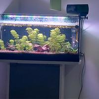 acquario completo