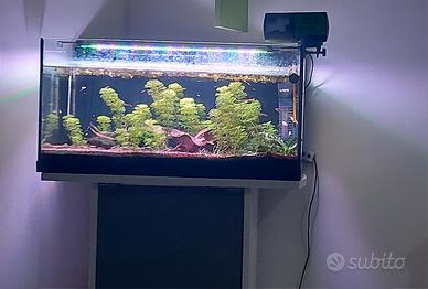acquario completo