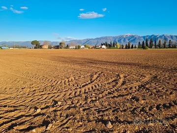 Lotto di terreno agricolo da privato