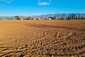 Lotto di terreno agricolo da privato