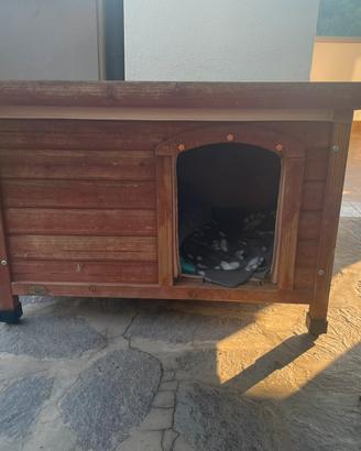 Cuccia per cani