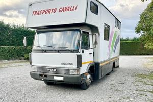 Van trasporto cavalli Alessi