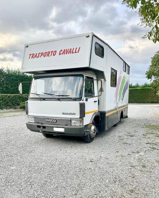 Van trasporto cavalli Alessi