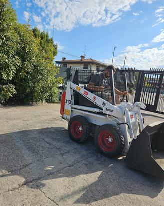 P180-Mini Pala Bobcat 313
