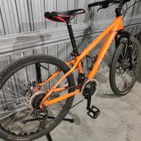 bici da 24