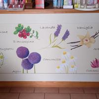 bancone per farmacia