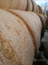 Fieno foraggi paglia 2026