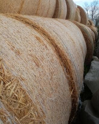 Fieno foraggi paglia 2026