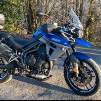 Tiger 800