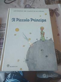 il piccolo principe 