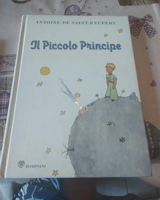 il piccolo principe 