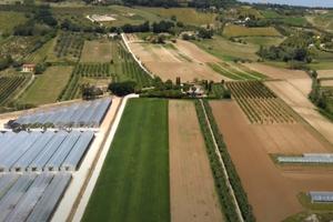Lotti edificabili per villino Marina di Altidona