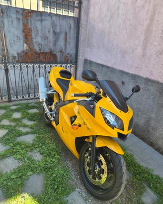 Triumph daytona 600