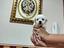 Immagine 2