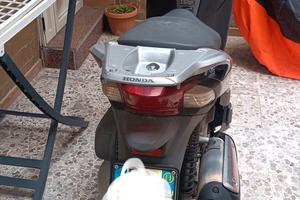 SH 300