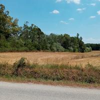 Terreno l per feste.8 ettari a prato