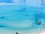 Immagine 11