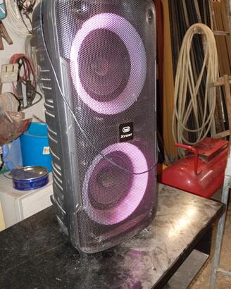 cassa amplificata con bluetooth 