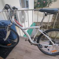 bicicletta uomo/ragazzo