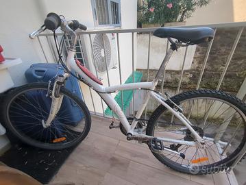 bicicletta uomo/ragazzo