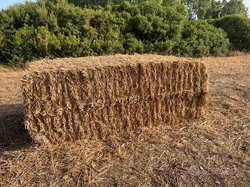 Balloni di Foraggio fieno avena Loietto