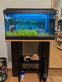 Acquario 60 litri