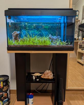 Acquario 60 litri