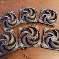 Ventole Arctic P14 e P12 Max