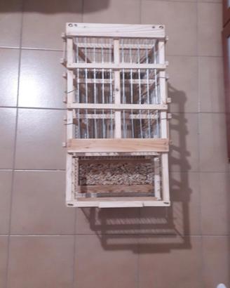 gabbia Allevamento 