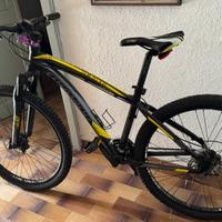 Bicicletta MTB Saturn Torpado 650B