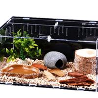 teche e terrario 