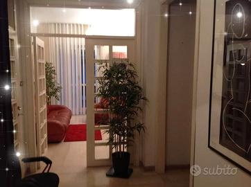 Stanza uso professionale